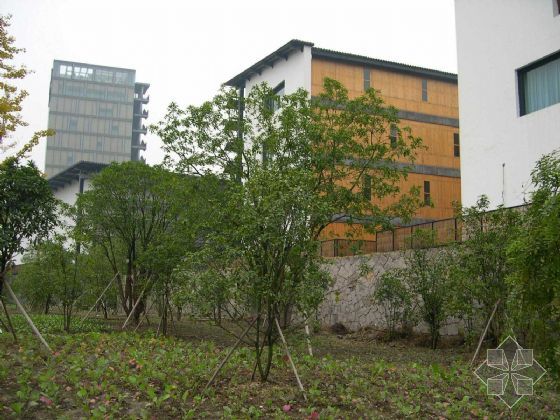 郯城2017中国美术学院象山alc板材蒸压加气混凝土板材